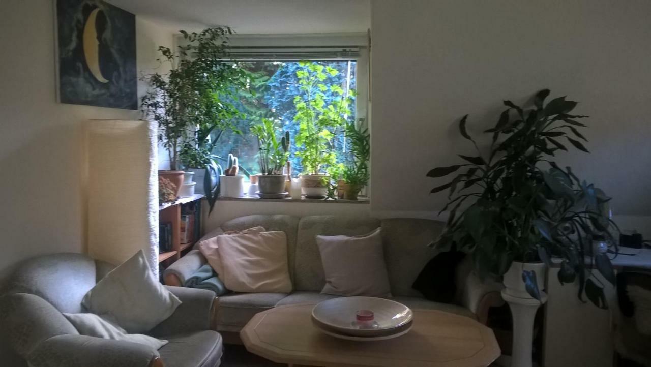 Gemuetl. Ferienwohnung Und Privatzimmer 汉堡 外观 照片